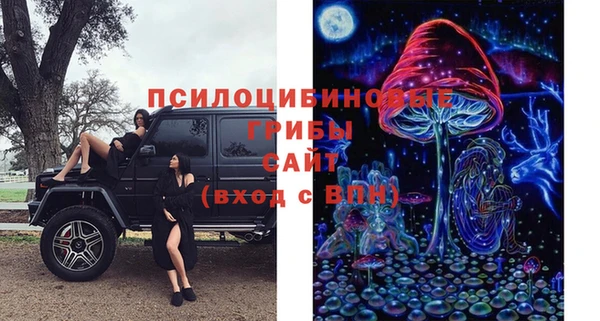 прущая мука Нефтегорск