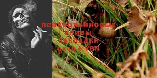 шишки Нефтекумск