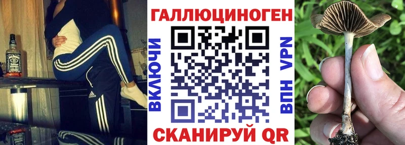 Купить закладки  Кизел  Псилоцибиновые грибы Psilocybe 